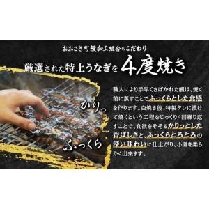 ふるさと納税 うなぎ 鹿児島県 大崎町 ヒルナ...の詳細画像4