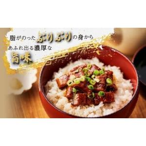 ふるさと納税 うなぎ 鹿児島県 大崎町 ヒルナ...の詳細画像5