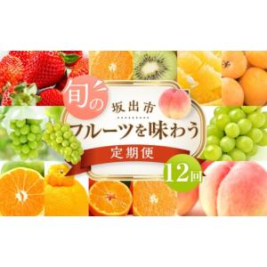 ふるさと納税 果物の詰合せ 香川県 坂出市 坂...の詳細画像1