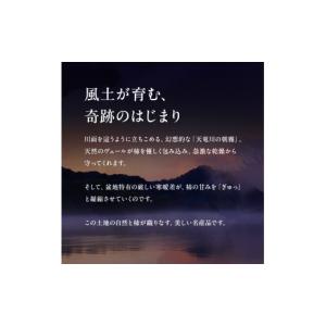 ふるさと納税 果物類 柿 長野県 飯田市 南信...の詳細画像2