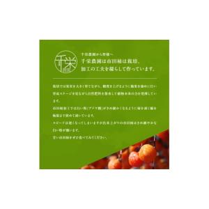 ふるさと納税 果物類 柿 長野県 飯田市 南信...の詳細画像5