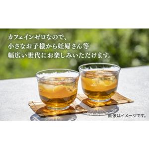ふるさと納税 お茶類 福岡県 糸島市 全12回...の詳細画像2