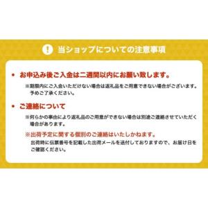 ふるさと納税 お茶類 熊本県 宇城市 1ヶ月毎...の詳細画像5
