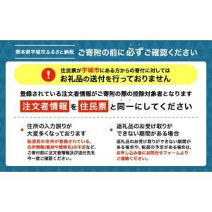 ふるさと納税 お茶類 熊本県 宇城市 麦茶 は...の詳細画像3