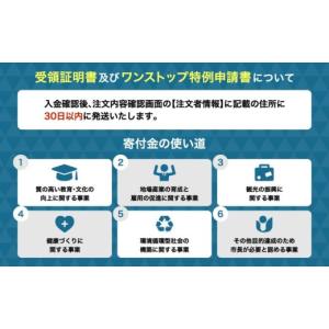 ふるさと納税 お茶類 熊本県 宇城市 麦茶 は...の詳細画像4