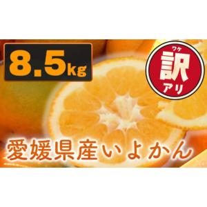 ふるさと納税 愛媛県 松山市 【来年度先行予約品】 訳あり 家庭用 伊予柑 8.5kg 愛媛県産 【2025年1月中旬ごろ発送】 いよかん 伊予柑 不揃い 家庭用 柑橘 み…