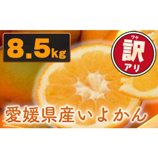 ふるさと納税 愛媛県 松山市 【来年度先行予約品】 訳あり 家庭用 伊予柑 8.5kg 愛媛県産 【...