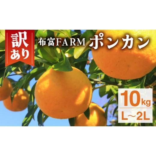 ふるさと納税 高知県 東洋町 訳ありポンカン　L〜２Lサイズ  10kg　NT5 L〜２Lサイズ  ...