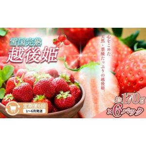 ふるさと納税 いちご 新潟県 上越市 先行予約...の詳細画像1