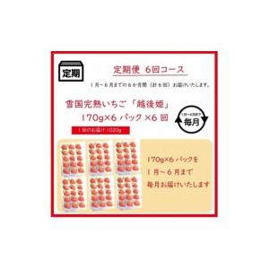 ふるさと納税 いちご 新潟県 上越市 先行予約...の詳細画像4