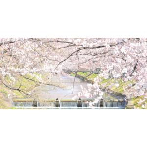 ふるさと納税 雑貨・日用品 愛知県 大口町 3...の詳細画像5