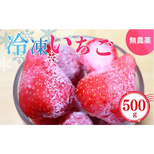 ふるさと納税 奈良県 五條市 冷凍いちご 約500g (100gx5パック) 奈良県産のいちご