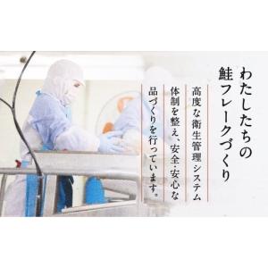 ふるさと納税 加工品等 岩手県 金ケ崎町 鮭フ...の詳細画像5