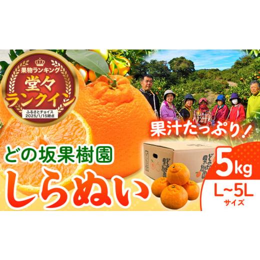 ふるさと納税 みかん・柑橘類 デコポン 和歌山県 日高川町 先行予約 不知火 ( デコポン と同品...