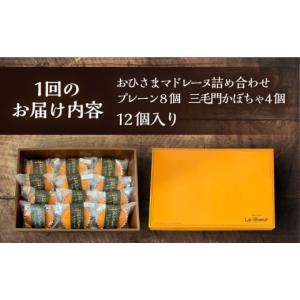 ふるさと納税 焼菓子・チョコレート マドレーヌ...の詳細画像5