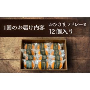 ふるさと納税 焼菓子・チョコレート マドレーヌ...の詳細画像4
