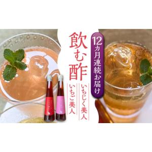 ふるさと納税 たれ・ドレッシング・酢 果実酢 福岡県 豊前市 全12回定期便 いちじく美人・いちご美人 飲む酢 2本 セット《豊前市》 株式会社ワカヤマ 地産 福…