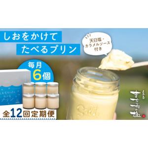 ふるさと納税 菓子 プリン 福岡県 糸島市 全12回定期便 しおが主役 しおをかけてたべる プリン 花塩 プレーン 6個 セット 糸島市 ／ またいちの塩 AEB009