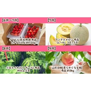 ふるさと納税 果物類 さくらんぼ 山形県 山形...の詳細画像3