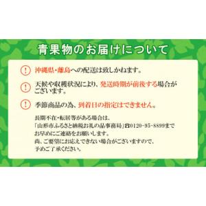 ふるさと納税 果物類 さくらんぼ 山形県 山形...の詳細画像5