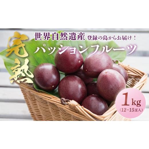 ふるさと納税 鹿児島県 奄美市 《奄美大島産パッションフルーツ》家庭用1kg(12玉入り)