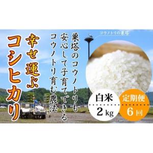 ふるさと納税 兵庫県 豊岡市 幸せ運ぶ コシヒカリ 2kg...