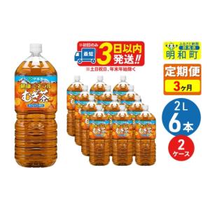 ふるさと納税 お茶類 群馬県 明和町 《定期便3ヶ月》健康ミネラルむぎ茶2L×6本 2ケース 伊藤園 むぎ茶 麦茶 ペットボトル