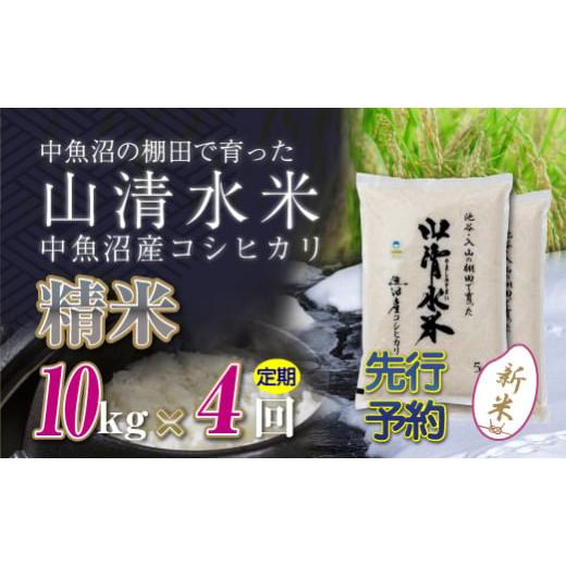 ふるさと納税 新潟県 十日町市 【新米先行受付】【定期便／全4回】精米10kg　新潟県魚沼産コシヒカ...