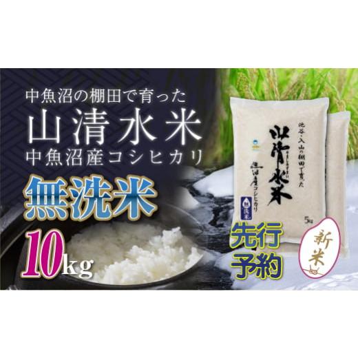 ふるさと納税 新潟県 十日町市 【新米先行受付】新潟県魚沼産コシヒカリ「山清水米」無洗米10kg