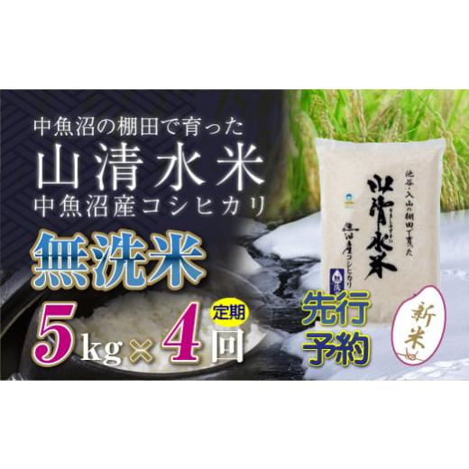 ふるさと納税 新潟県 十日町市 【新米先行受付】【定期便／全4回】無洗米5kg　新潟県魚沼産コシヒカ...