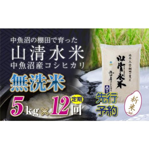 ふるさと納税 新潟県 十日町市 【新米先行受付】【定期便／全12回】無洗米5kg　新潟県魚沼産コシヒ...