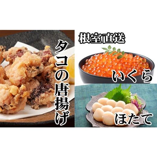 ふるさと納税 北海道 根室市 D-30047 たこ唐揚げ250g×4P、ほたて貝柱500g×3P、い...