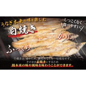 ふるさと納税 うなぎ 鹿児島県 大崎町 鹿児島...の詳細画像2