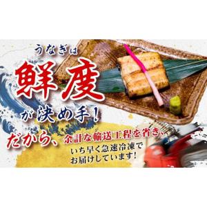 ふるさと納税 うなぎ 鹿児島県 大崎町 鹿児島...の詳細画像4