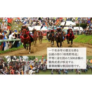 ふるさと納税 ファッション 靴 福島県 南相馬...の詳細画像5