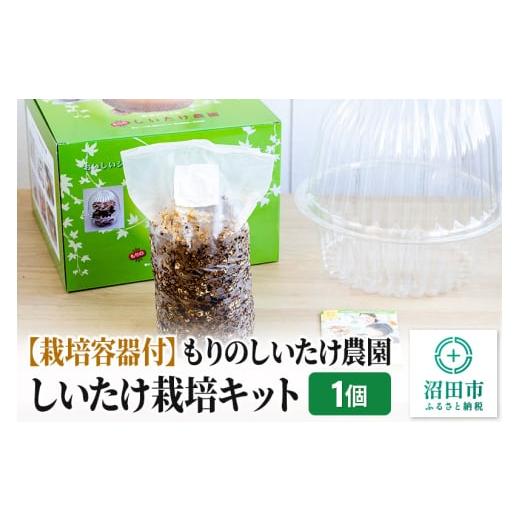 ふるさと納税 野菜類 きのこ 群馬県 沼田市 《期間限定10〜4月発送》栽培容器付 もりのしいたけ農...