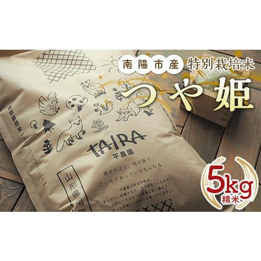 ふるさと納税 山形県 南陽市 令和5年産 新米 特別栽培米 つや姫 (精米) 5kg 《令和5年10...