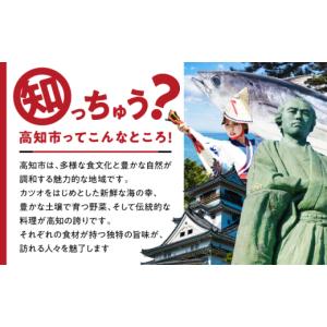 ふるさと納税 花・苗木 花束 高知県 高知市 ...の詳細画像5