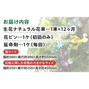 ふるさと納税 花・苗木 花束 高知県 高知市 ...の詳細画像4
