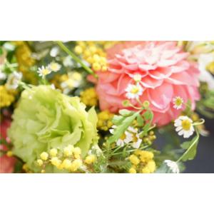 ふるさと納税 花・苗木 花束 高知県 高知市 ...の詳細画像3