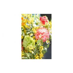 ふるさと納税 花・苗木 花束 高知県 高知市 ...の詳細画像5