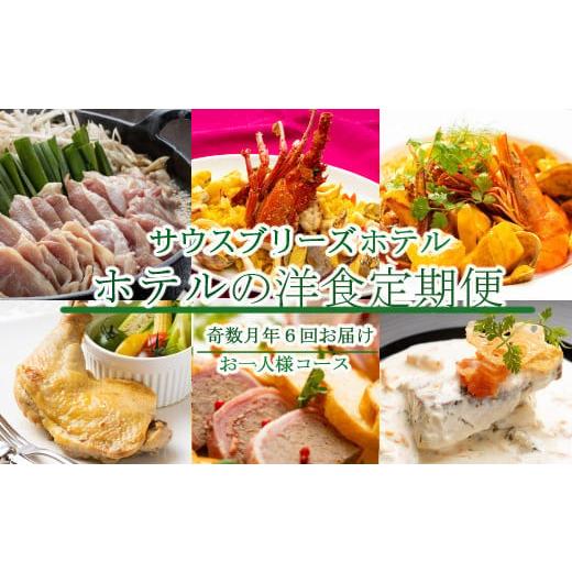 ふるさと納税 鶏肉 モモ 高知県 室戸市  ホテルメイドの洋食惣菜 定期便 奇数月年６回お届け お一...