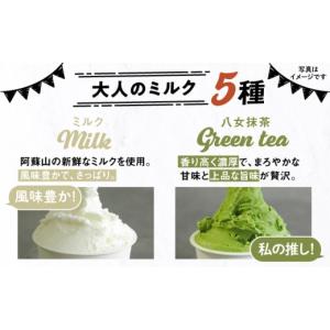 ふるさと納税 アイス・ヨーグルト ジェラート ...の詳細画像3