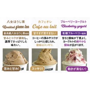 ふるさと納税 アイス・ヨーグルト ジェラート ...の詳細画像4