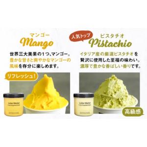 ふるさと納税 アイス・ヨーグルト ジェラート ...の詳細画像5