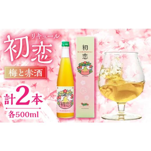 ふるさと納税 熊本県 山鹿市 梅 赤酒 リキュール 初恋 500ml 2本セット 【千代の園酒造 株...