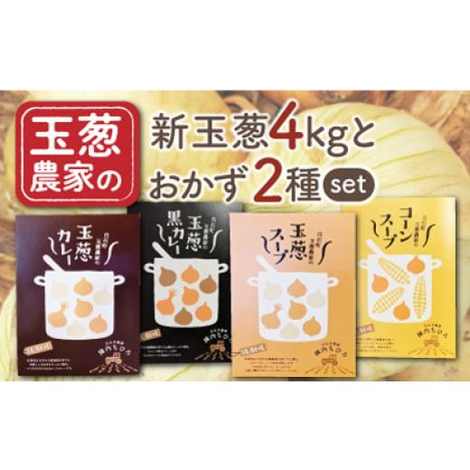 ふるさと納税 佐賀県 白石町 【農家直送！】新玉葱4kg と 選べるおかず2種 Cセット【玉葱農家 ...