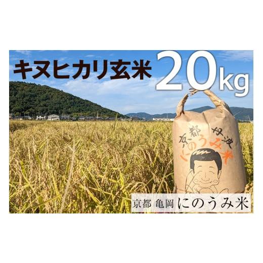 ふるさと納税 京都府 亀岡市 【令和6年産先行予約】米 キヌヒカリ 玄米 20kg〈アグリにのうみ〉...