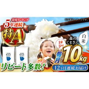 ふるさと納税 米 熊本県 山鹿市 〈令和8年産...の詳細画像1