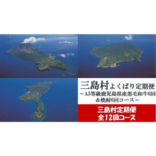 ふるさと納税 鹿児島県 三島村 【定期便／全12回】よくばり定期便〜A5等級 鹿児島県産黒毛和牛 6...